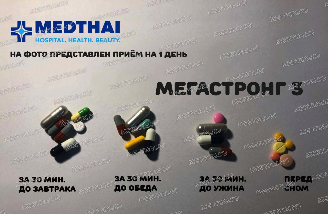 тайские мишки мегастронг